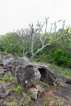 Photo for Megalithic dolmens, or muniyaras, at alampetty, maraiyur, maraiyoor, Kerala, India - Royalty Free Image
