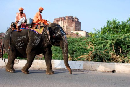 Sadhus sitting on elephant walking on road at Mehrangarh fort ; Jodhpur ; Rajasthan ; India