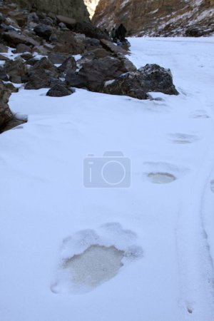 Empreinte au sol sur la rivière gelée, trek au chadar, ladakh, jammu & Cachemire, Inde, Asie
