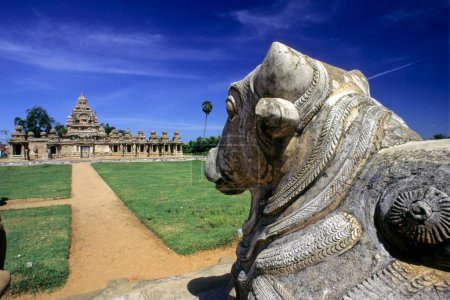 Téléchargez les photos : Nandi devant le temple kailasanathar, kanchipuram, tamil nadu, Inde - en image libre de droit