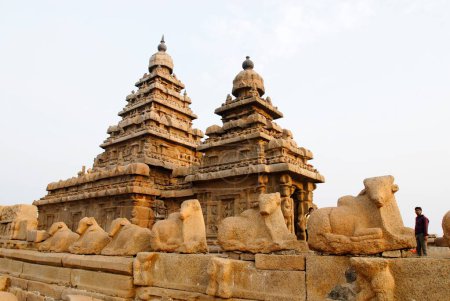 Photo for The shore temple in Mahabalipuram ; Tamil Nadu ; India - Royalty Free Image