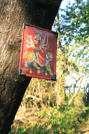 Téléchargez les photos : Cadre photo de la déesse Durga sur le tronc d'arbre dans le parc national Sanjay Gandhi ; Borivali ; Bombay Mumbai ; Maharashtra ; Inde - en image libre de droit