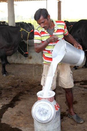 Téléchargez les photos : Milkman versant du lait, Nadiad, Gujarat, Inde - en image libre de droit