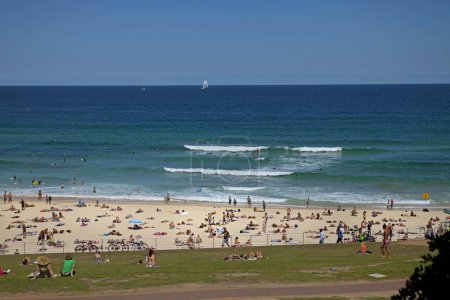 Photo for Crowded bondi beach, sydney, australia - Royalty Free Image