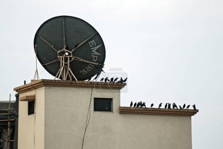 Téléchargez les photos : Corbeaux et antenne parabolique sur la terrasse de la maison nariman après une attaque terroriste par des moudjahidines décanes ; Bombay Mumbai ; Maharashtra ; Inde 26 novembre 2008 - en image libre de droit