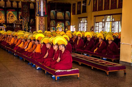 Téléchargez les photos : Monastère de Gyuto, Dharamsala, Himachal Pradesh, Inde, Asie - en image libre de droit
