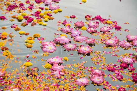 Fleurs flottant sur la rivière yamuna mathura uttar pradesh, Inde, Asie