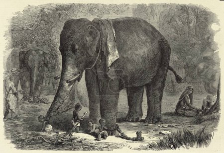 Téléchargez les photos : Peinture Miniature, Un éléphant qui s'occupe des enfants en Inde Halte sur la haute route de Bénarès 19ème siècle - en image libre de droit