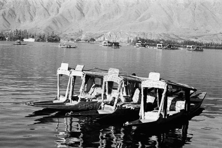 Photo for Empty four shikaras in Dal lake Srinagar Jammu and Kashmir India Asia 1971 - Royalty Free Image