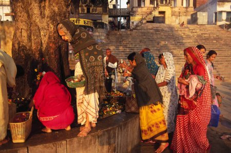 Téléchargez les photos : Femmes adorant l'arbre pépal pipal Ficus religiosa arbre de la vie éternelle, varanasi, uttar pradesh, Inde - en image libre de droit