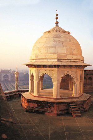Téléchargez les photos : Chhatri de taj mahal, agra, delhi, india, asia - en image libre de droit