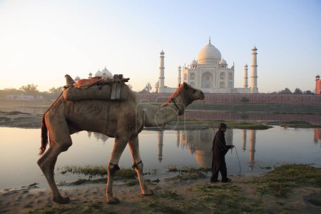Photo for Young boy carrying camel at Taj Mahal Seventh Wonders of World on the south bank of Yamuna river , Agra , Uttar Pradesh , India UNESCO World Heritage Site - Royalty Free Image