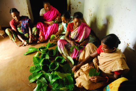 Foto de Ho tribus mujeres haciendo cuencos con hojas, Chakradharpur, Jharkhand, India - Imagen libre de derechos