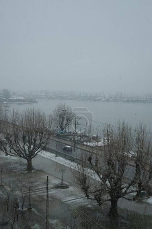 Téléchargez les photos : Chute de neige, dal lake, srinagar, Cachemire, Inde, asie - en image libre de droit