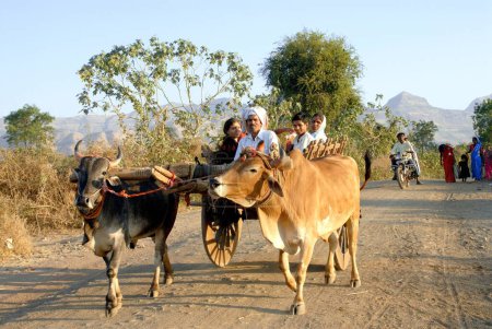Téléchargez les photos : Chariot à boeufs sur route, Devlali, Maharashtra, Inde Novembre 2008 - en image libre de droit