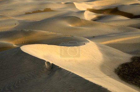 Desert sand dunes, Khuri, Jaisalmer, Rajasthan, India, Asia