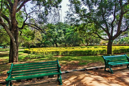 Bancos vacíos, Jardín Botánico de Lalbagh, Bangalore, Bengaluru, Karnataka, India, Asia