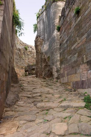 Téléchargez les photos : Patrimoine mondial de l'UNESCO Champaner Pavagadh ; ruines de Khapra Jhaveri Mahal le mur extérieur ; district de Panchmahals ; État du Gujarat ; Inde ; Asie - en image libre de droit