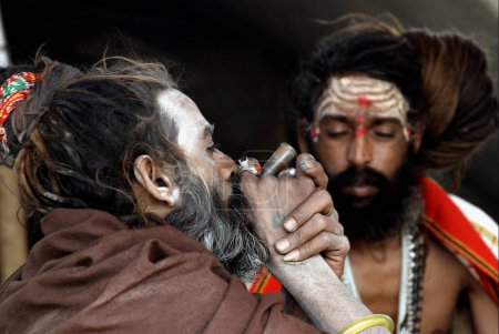 Photo for Sadhus from the Juna Akadha smoke opium at their camp during the Ardh Kumbh Mela, India - Royalty Free Image