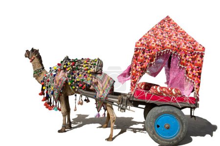 camel cart, pushkar camel fair, rajasthan, Asia, India