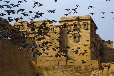 Tauben fliegen über Jaisalmer Fort, Jaisalmer, Rajasthan, Indien