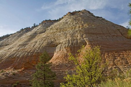 Photo for Checkerboard mesa ;  A prominent naturally sculpted art of  horizontal lines and vertical fractures created on the red cliffs over the years at Zion canyon national park ;  U.S.A. United States of America - Royalty Free Image