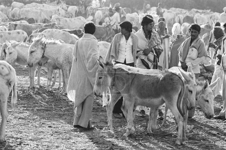 Foto de Mercado de burros en venta Feria de Vautha Gujarat India Asia 1983 - Imagen libre de derechos