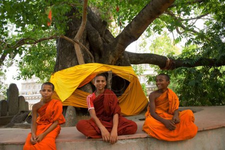 Foto de Monje de Buda en el templo Mahabodhi; Bodhgaya; Bihar; India - Imagen libre de derechos