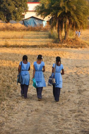Photo for Girls going to school, bastar, chhattisgarh, india, asia - Royalty Free Image
