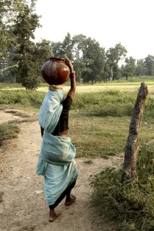 Photo for Woman carrying water in metal pots ; Carm Daksh ; Bilaspur ; Chhattisgarh ; India - Royalty Free Image