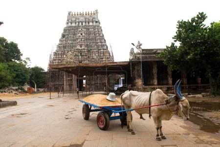 Foto de Varadaraja Perumal Templo de Vishnu en Kanchipuram; Tamil Nadu; India - Imagen libre de derechos
