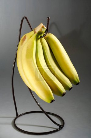 Photo for Kitchen things ; fruits ; banana with stand ; Bombay Mumbai ; Maharashtra ; India - Royalty Free Image