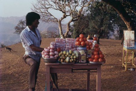 Photo for Hawker selling sandwiches at Matheran, Maharashtra, India, Asia - Royalty Free Image
