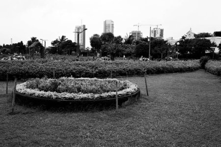 Photo for Flower bed, Pherozeshah Mehta Garden, Hanging Garden, Malabar Hill, Mumbai, Maharashtra, India, Asia - Royalty Free Image