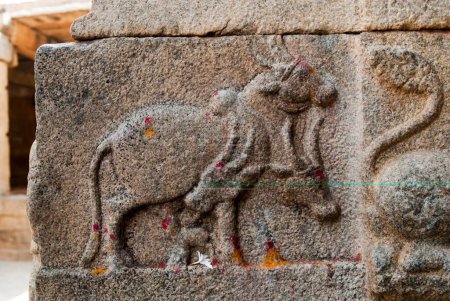 Téléchargez les photos : Taureau ; bas-relief dans le temple Veerabhadra à Lepakshi ; Andhra Pradesh ; Inde - en image libre de droit