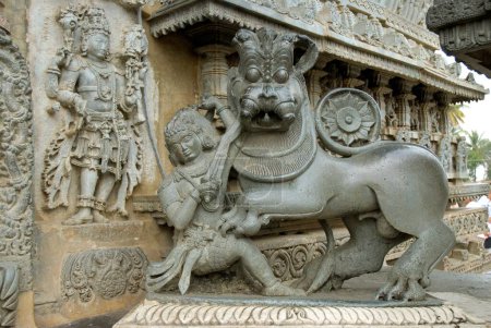 Hoysala símbolo en forma de hombre atacando tigre exterior del templo de Channakesava Vishnu; Belur; distrito Hassan; Karnataka; India