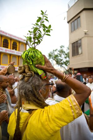 Photo for Pilgrim carry holy tulsi plant on head, Nasik, maharashtra, india, asia - Royalty Free Image