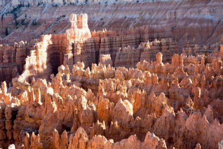 Photo for Hoodoos ;  pillar of rocks made by erosion at Bryce Canyon national park ;  U.S.A. United States of America - Royalty Free Image