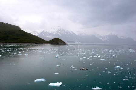 Iceberg cerca del glaciar Hubbard; El glaciar de marea más largo de Alaska; Parque Nacional Saint Elias; Bahía de desencanto; Alaska; Estados Unidos de América