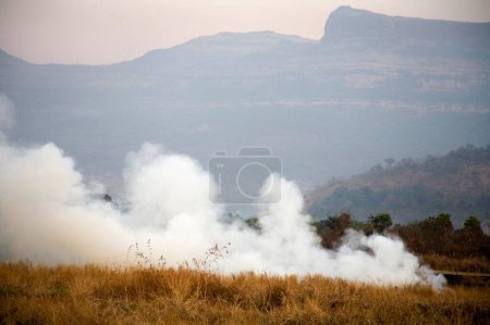 Téléchargez les photos : Fumée dans un champ de blé chaîne de montagnes en arrière-plan ; Karjat ; Maharashtra ; Inde - en image libre de droit