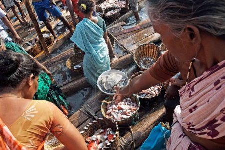 Foto de Pescadoras comprando pescado en el mercado mayorista de Royapuram Madras, Chennai, Tamil Nadu, India - Imagen libre de derechos