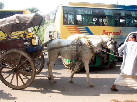 Photo for Horse cart and bus in traffic jam, Fatehpur Sikiri road, Uttar Pradesh, India - Royalty Free Image