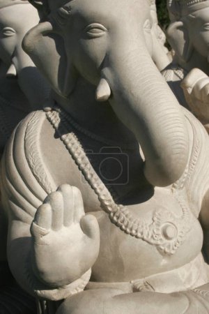Freshly moulded idol of lord Ganesh elephant headed god in white kept in sunlight for drying ; Pune ; Maharashtra ; India