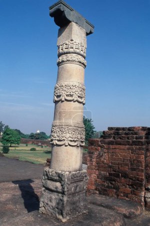 Columna tallada en el Complejo Universitario de Nalanda, Nalanda, Bihar, India, Asia