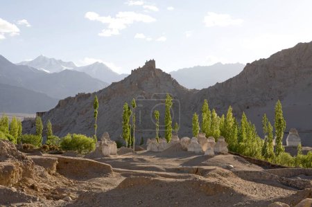 Buddhist stupas in typical Ladakh landscape with Shey palace on hill in background ; Shey; Ladakh ; Jammu and Kashmir ; India