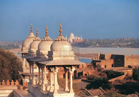 View of the taj mahal from the agra fort, delhi, india, asia