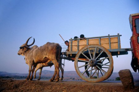 Téléchargez les photos : Chariot Bullock en Inde - en image libre de droit