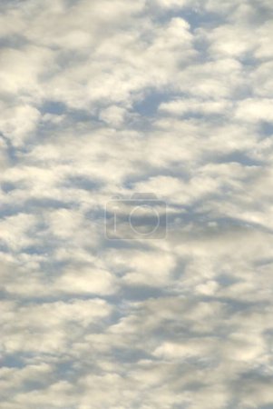 Foto de Nubes blancas y cielo azul muy claro - Imagen libre de derechos