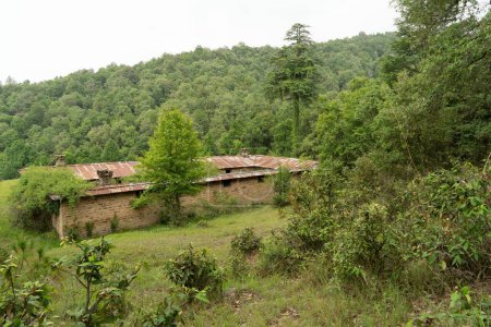 Animal Enclosure, Sitla Estate, Sheetla, Nainital, Kumaon, Uttarakhand, India, Asia