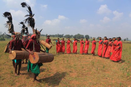 Foto de Bailarinas de cuerno de bisonte, bastardos, chhattisgarh, india, asia - Imagen libre de derechos